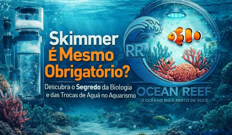 Skimmer É Mesmo Obrigatório? Descubra o Segredo da Biologia e das Trocas de Água no Aquarismo